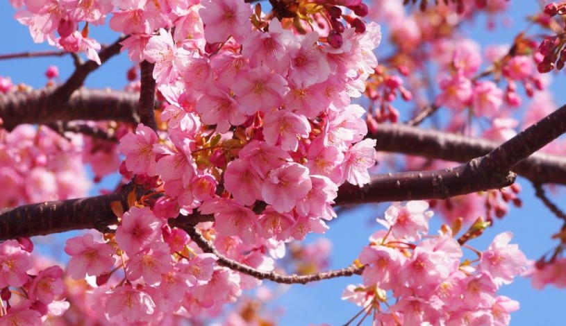 Wellness Hotel Astra*** superior Špindlerův Mlýn